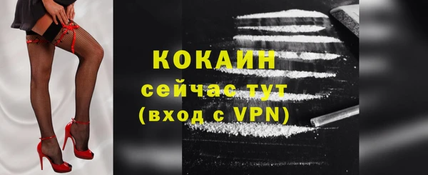 индика Абинск