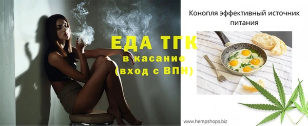 индика Абинск