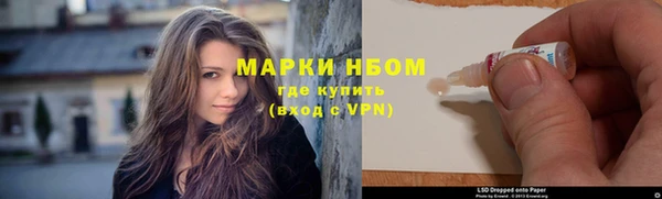 индика Абинск