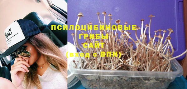 экстази Абаза
