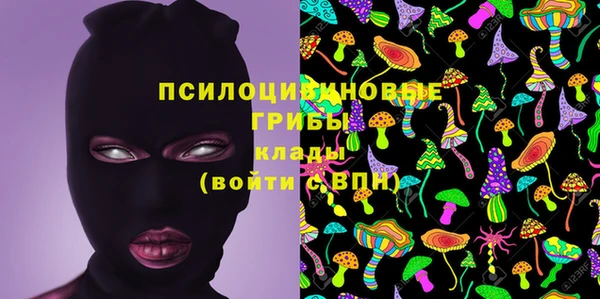 индика Абинск
