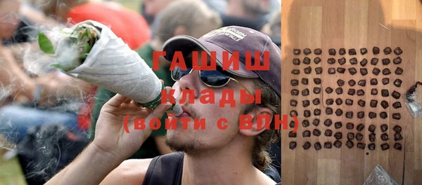 индика Абинск