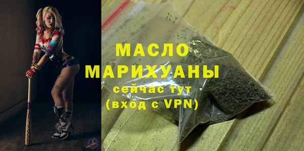 индика Абинск