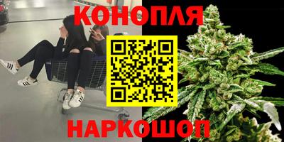 индика Изобильный