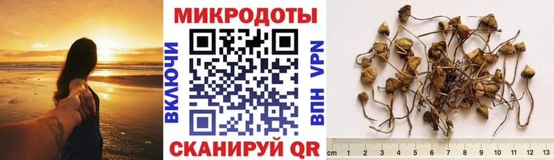 Псилоцибиновые грибы мухоморы Минусинск
