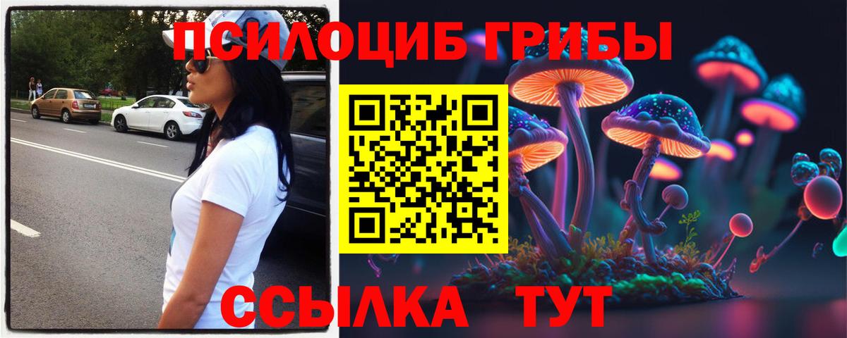 Минусинск  Галлюциногенные грибы Psilocybe  Вход с VPN 